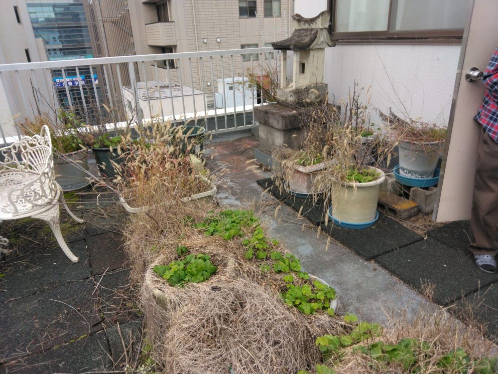 家庭ごみTC(トータルクリーン)サービス - 作業実績:プランターの片付け/ビフォア