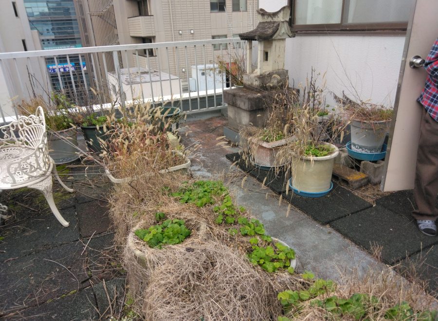 家庭ごみTC（トータルクリーン）サービス - 作業実績：プランターの片付け／ビフォア
