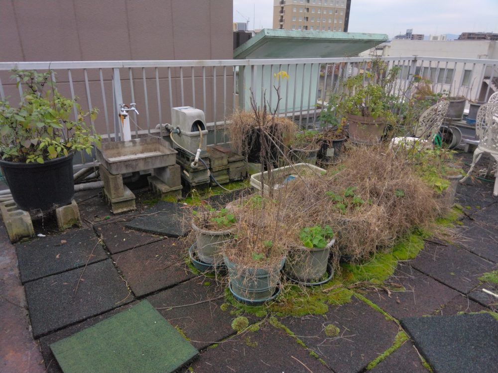 家庭ごみTC(トータルクリーン)サービス - 作業実績:プランターの片付け/ビフォア