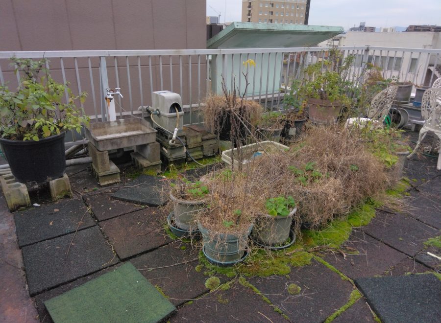 家庭ごみTC（トータルクリーン）サービス - 作業実績：プランターの片付け／ビフォア